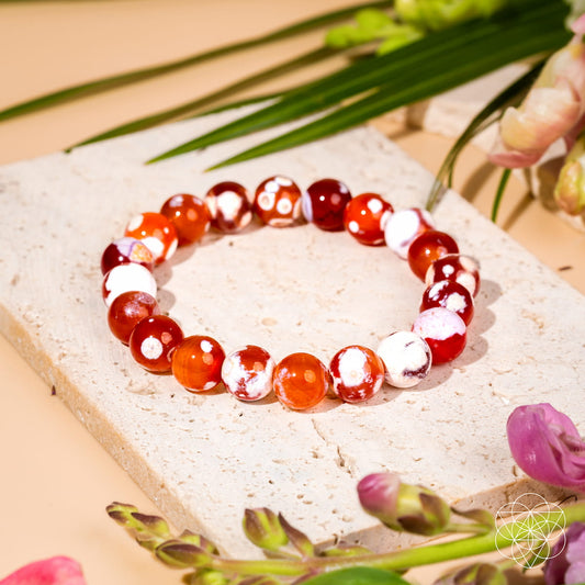Feminine Force – Carnelian Orca Agate Bracelet