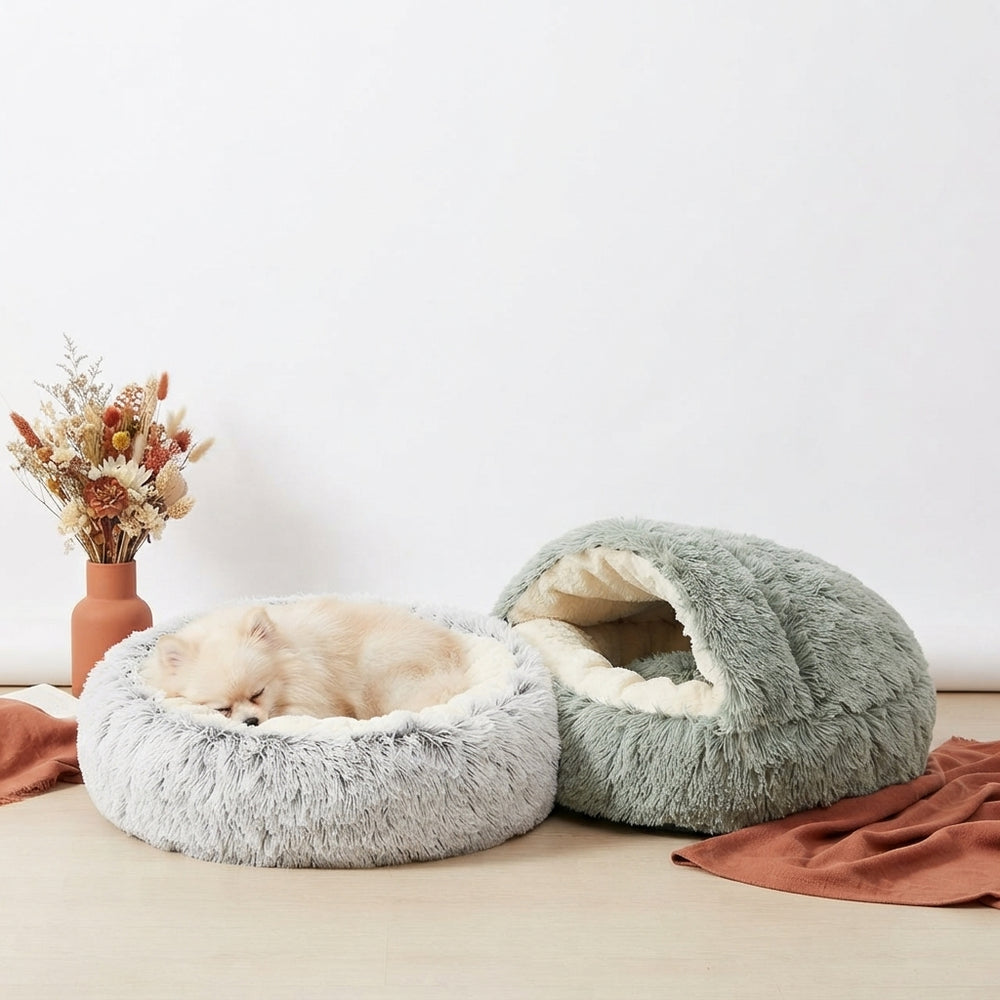 2-in1 Pet Bed - stellar-stats-with-image