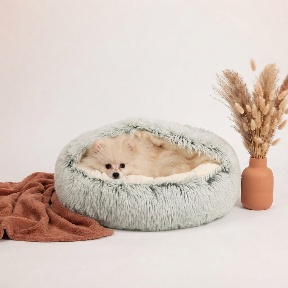 2-in1 Pet Bed - stellar-stats-with-image